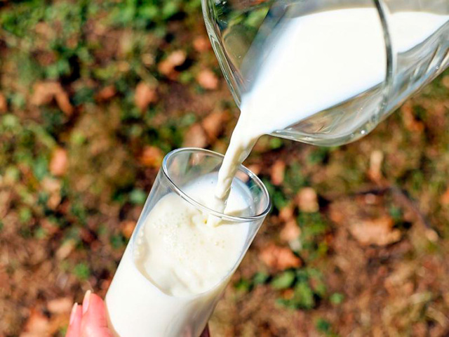 Овечье молоко: полезные свойства и вред