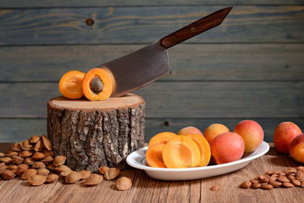 Польза и возможный вред абрикосовых косточек