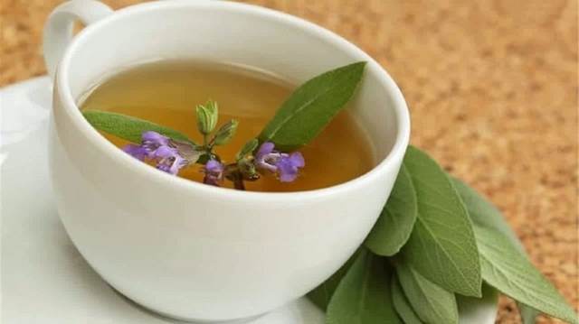 Шалфей и чай из шалфея — польза и возможный вред