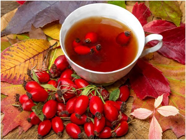 Полезные свойства и вред чая из крапивы