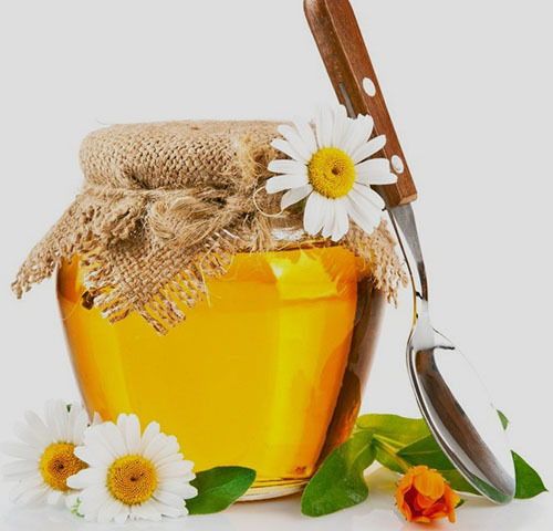 Тыквенный мед: вред и польза для организма