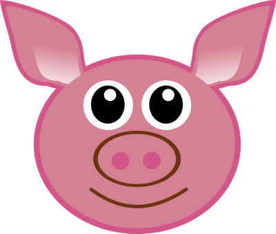 Свинина — польза и вред для организма