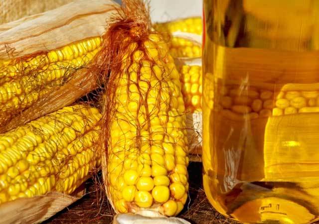 Польза и вред кукурузного масла для организма