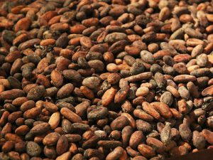 Чем полезен и вреден какао для организма