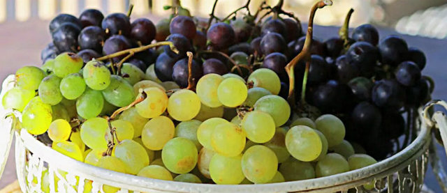Что более полезно слива или виноград