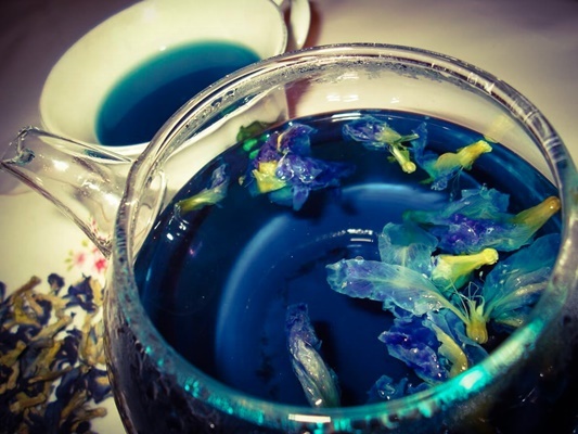 Синий чай — польза и возможный вред