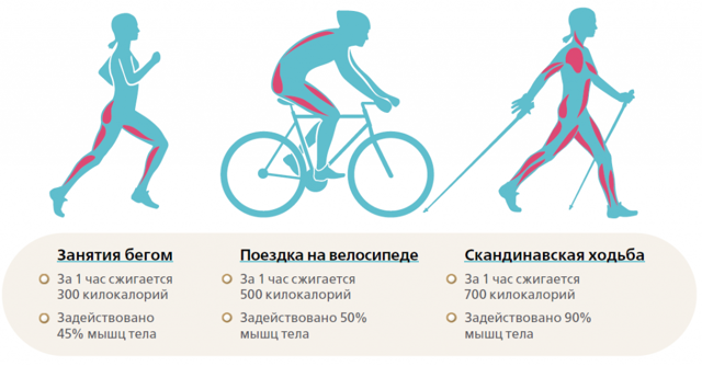 Что полезнее для здоровья ходьба или велосипед