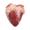 Свиное сердце — польза и вред для здоровья