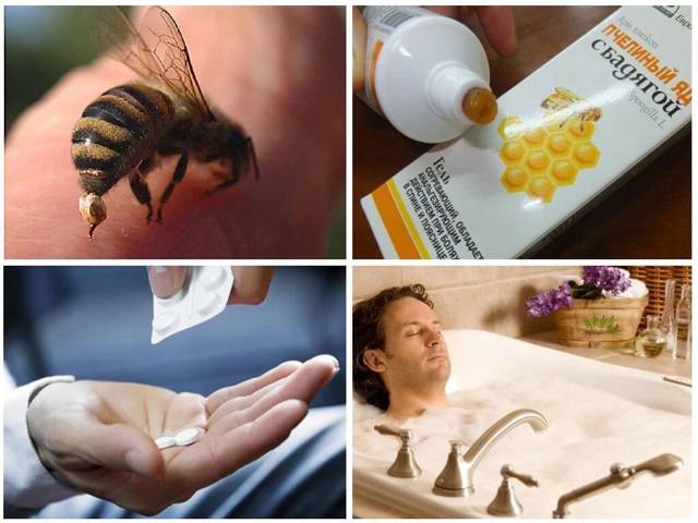 Полезные свойства и вред пчелиных укусов