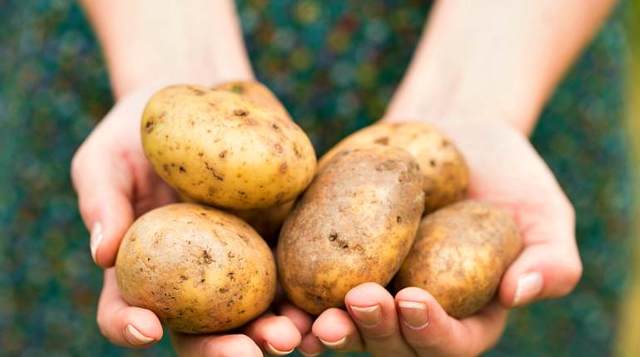 Чем полезна и вредна картофельная кожура