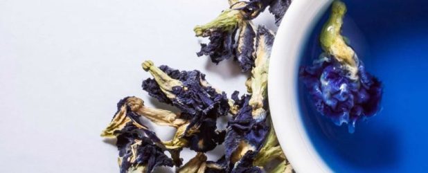 Синий чай — польза и возможный вред