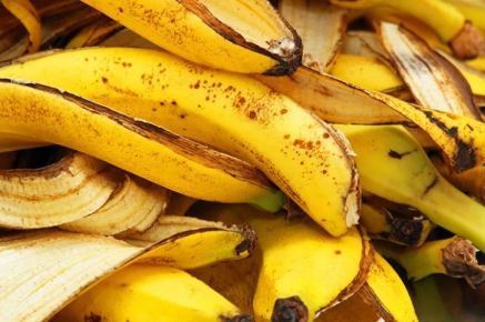 Польза и возможные вред банановой кожуры для человека