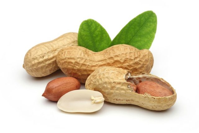 Соленый жареный арахис: польза и чем вреден
