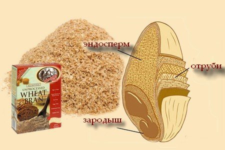 Рисовые отруби: полезные свойства и вред
