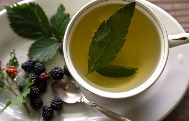Чай из листьев ежевики: польза и вред