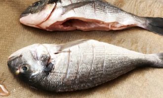 Рыба дорадо — польза и вред
