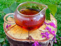 Польза и возможный вред облепихового чая