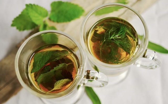 Чай из фенхеля — полезные свойства и вред