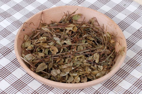 Чай из листьев черники — польза и вред
