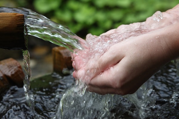 Польза и вред родниковой воды