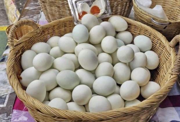 Польза и вред утиных яиц