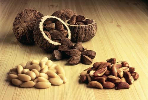 Семечки или орехи — что более полезно?