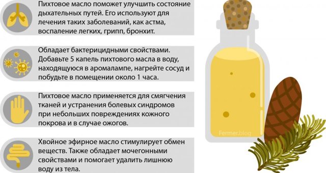 Пихтовое масло — польза и возможный вред