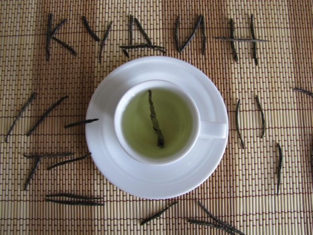 Чай кудин: полезные свойства и возможный вред