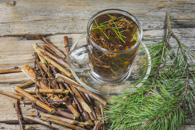 Чай из сосновых иголок: полезные свойства и вред