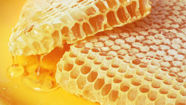 Пчелиный забрус: польза, вред и как применять