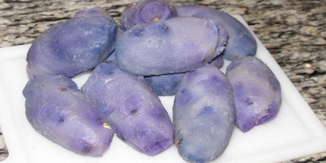 Синяя картошка — полезные свойства и вред