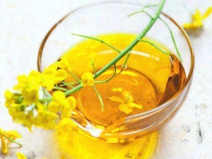 Польза и вред рапсового масла для организма