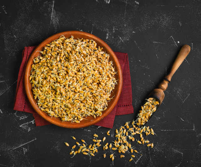 Чем полезны и вредны зародыши пшеницы