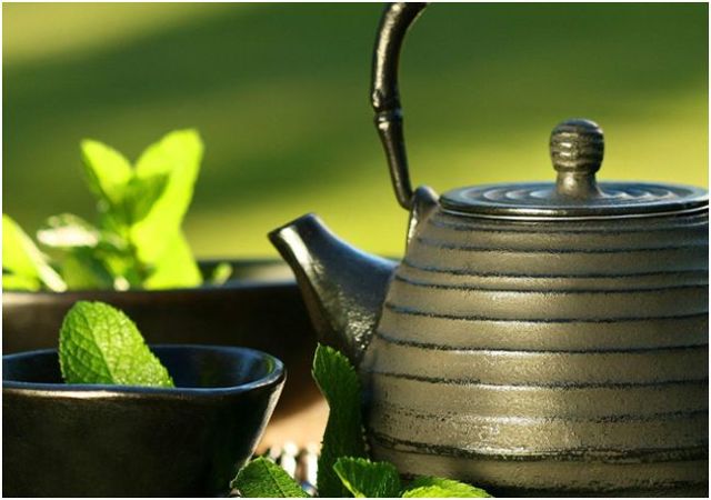 Польза и вред чая с мятой для организма человека