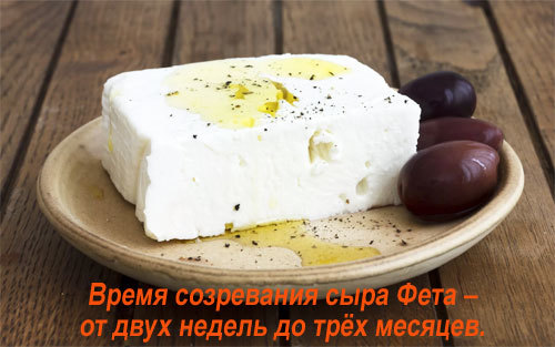 Сыр фета — полезные свойства и вред