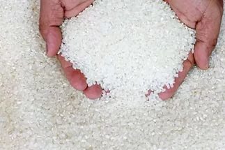 Польза и вред шлифованного риса