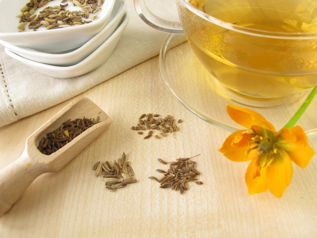 Чай из фенхеля — полезные свойства и вред
