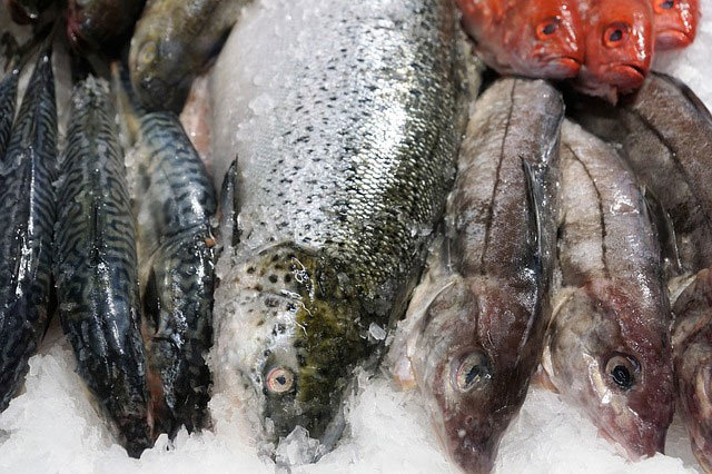 Рыбий жир — польза и вред для организма