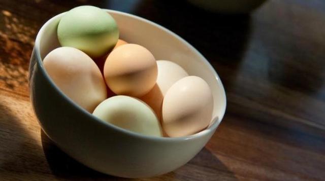 Польза и вред утиных яиц