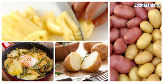Польза и вред жареной картошки