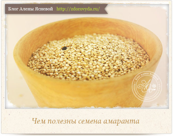 Семена амаранта: польза, вред и как принимать