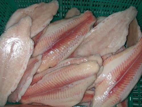 Рыба пангасиус: польза и вред