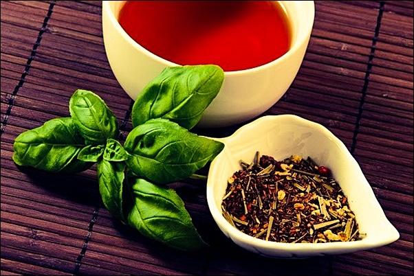 Чай с базиликом: чем полезен и чем вреден