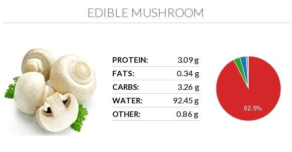 Что полезнее кушать мясо или грибы?