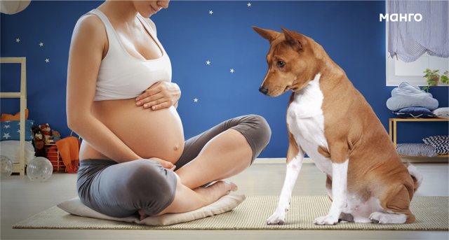 Собака – друг беременных женщин