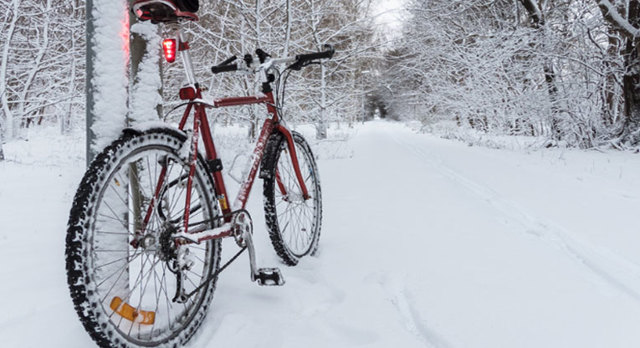 На велосипеде в зиму