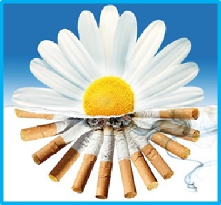 31 мая - день отказа от курения. Навсегда