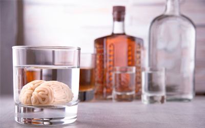 Алкоголь разрушает молодой мозг