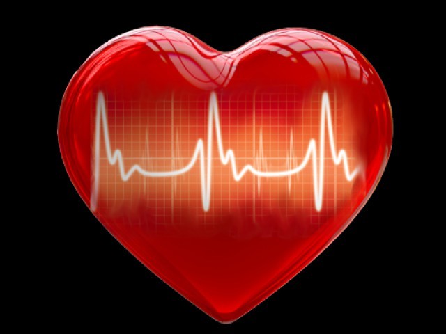 10 фактов про сердце