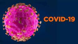 Комары и коронавирус: насекомые, скорее всего, не могут заразить человека COVID-19
